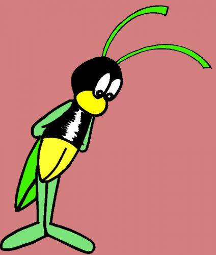 Bug